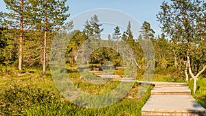 Boardwalk in Urho Kekkonen National Park in Finland. It is one o