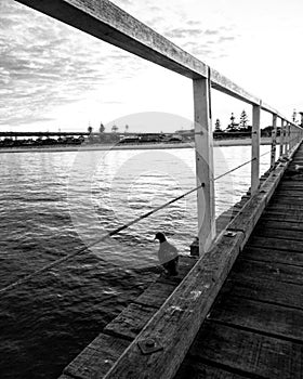 Boardwalk view