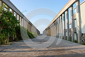 Boardwalk View