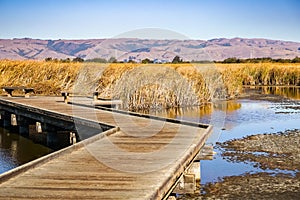 Boardwalk among the waterways in Coyote Hills Regional Park, East San Francisco Bay Area, Fremont, California