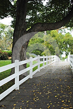 Boardwalk with White Picket Fence