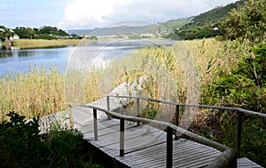 Boardwalk in the Wilderness