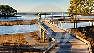 A Boardwalk Winding through the Mangroves