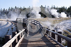 Boardwalks in the geyser basin area near Old Faithful in Yellowstone National Park