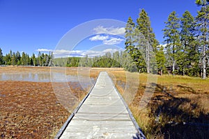 Boardwalks in Yellowstone National Park, Wyoming