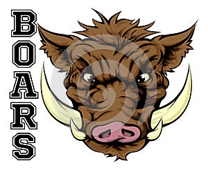 Boars Sports Mascot photo