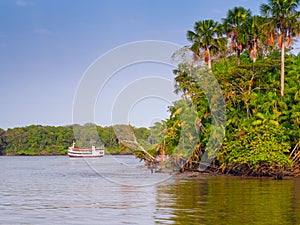 Boat in Amazon River