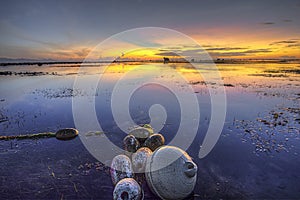 boat anchor buoy with sunrise background