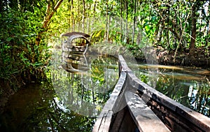 Una barca in piedi la giungla 
