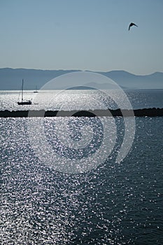 Boat and bird on the sea