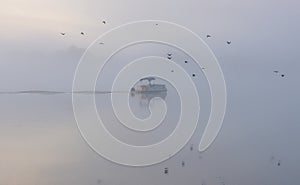 Boat and Brids on a Lake in the fog