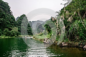 Boat cave tour in Trang An Scenic Landscape formed by karst towers and plants along the river (UNESCO World Heritage Site). It's