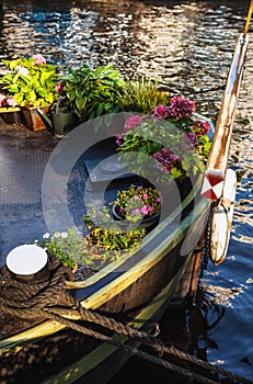 Boat on channel in Amsterdam - Holland