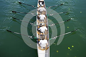 Boat coxed four