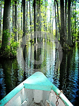 Boat on cypress swamp gardens North Carolina