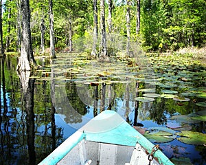 Boat on cypress swamp gardens North Carolina