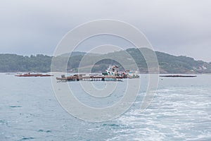 boat doing salvage work on a mussel farm in Vigo