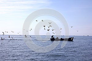 Boat with a fisherman and seagulls in the  sea