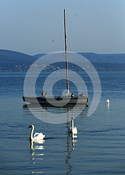 Boat float on Lake Balton with swan