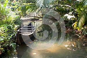 Boat floating on the canal in tropical forest