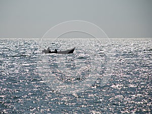 Boat and Glittering Sea