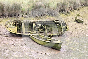 Boat with grass