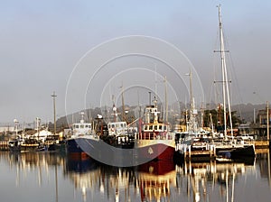 Boat Harbor