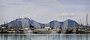 Boat Harbor, Sitka Alaska photo