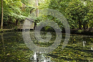Boat House on a Lake