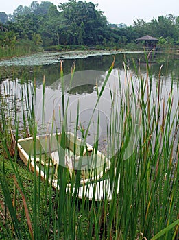 Boat by lake & reeds photo
