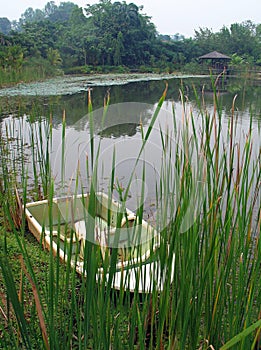 Boat by lake & reeds