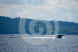 Boat on a large canadian lake  in Quebec