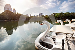 Boat in Lumpini Park in Bangkok