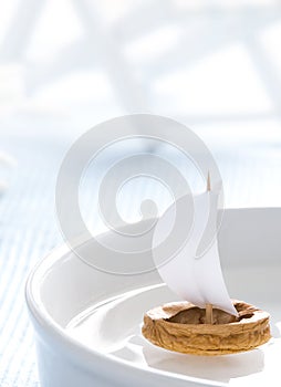 Boat made of walnut shell