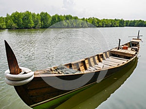 Boat in Mangrove River Forest Conservation
