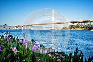 Boat marina near new oakland bay bridge leading to oakland calif