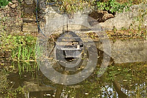 A boat moored to the river bank in the reeds on a sunny, calm day. Summer