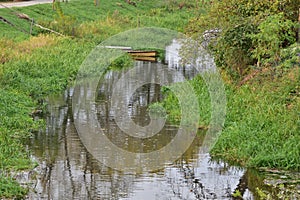 A boat moored to the river bank in the reeds on a sunny, calm day. Summer