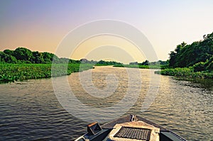 Boat navigating through flooded waters of Pantanal at sunset