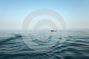 Boat in open water photo
