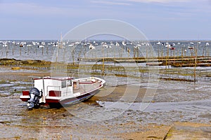 Boat and oyster bed of LÃÂ¨ge-Cap-Ferret photo