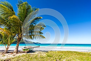 Boat by palm tree on one of the most beautiful tropical beaches in Caribbean, Playa Rincon