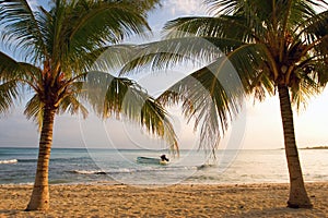 Un barco a palmera árboles sobre el atardecer 