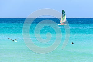 Boat, pelican and blue sea at Varadero