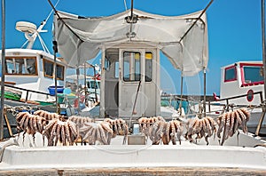 The boat in the port after the successful fishing