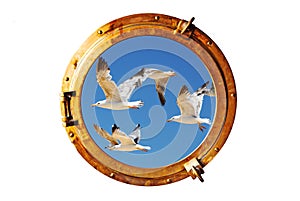 Boat porthole with seagull photo