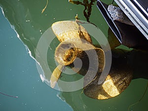 Boat propeller motor