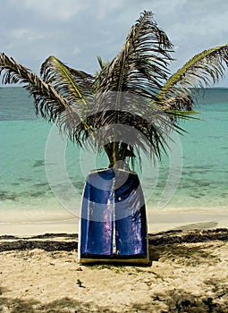 Boat propped up against palm tree in Vieques Puerto Rico