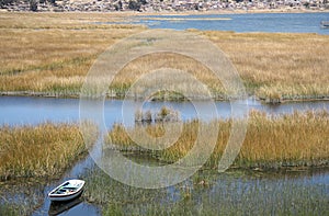 Boat in reeds of Titicaca lake, Copacabana, Bolivia
