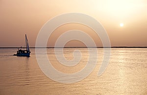 Boat in Ria Formosa, natural conservation